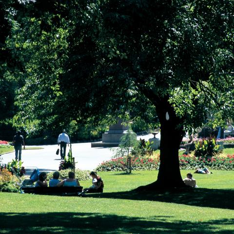Sunderland Greenspace Audit