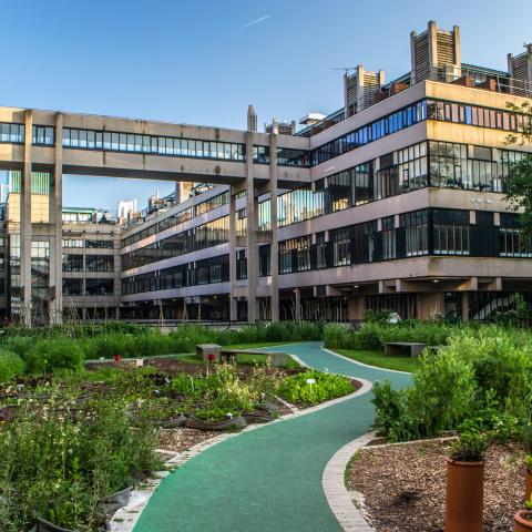 Sustainable Garden at the University of Leeds (2016)