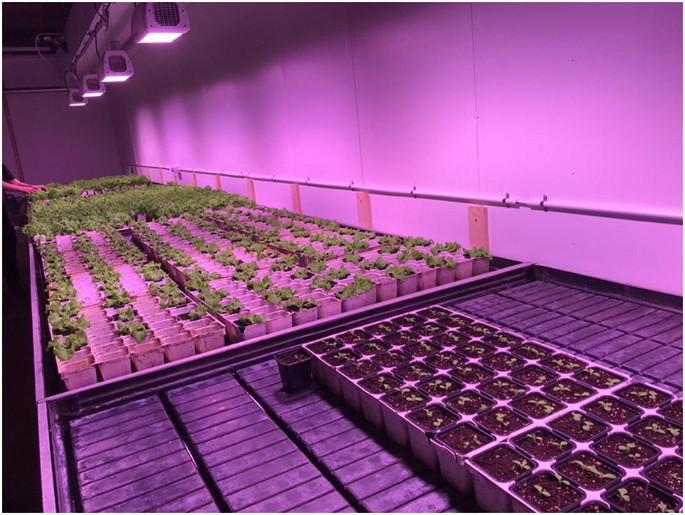 High-tech urban farming in Högdalen 