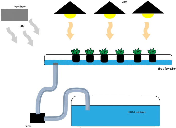 How indoor urban farming in Högdalen works