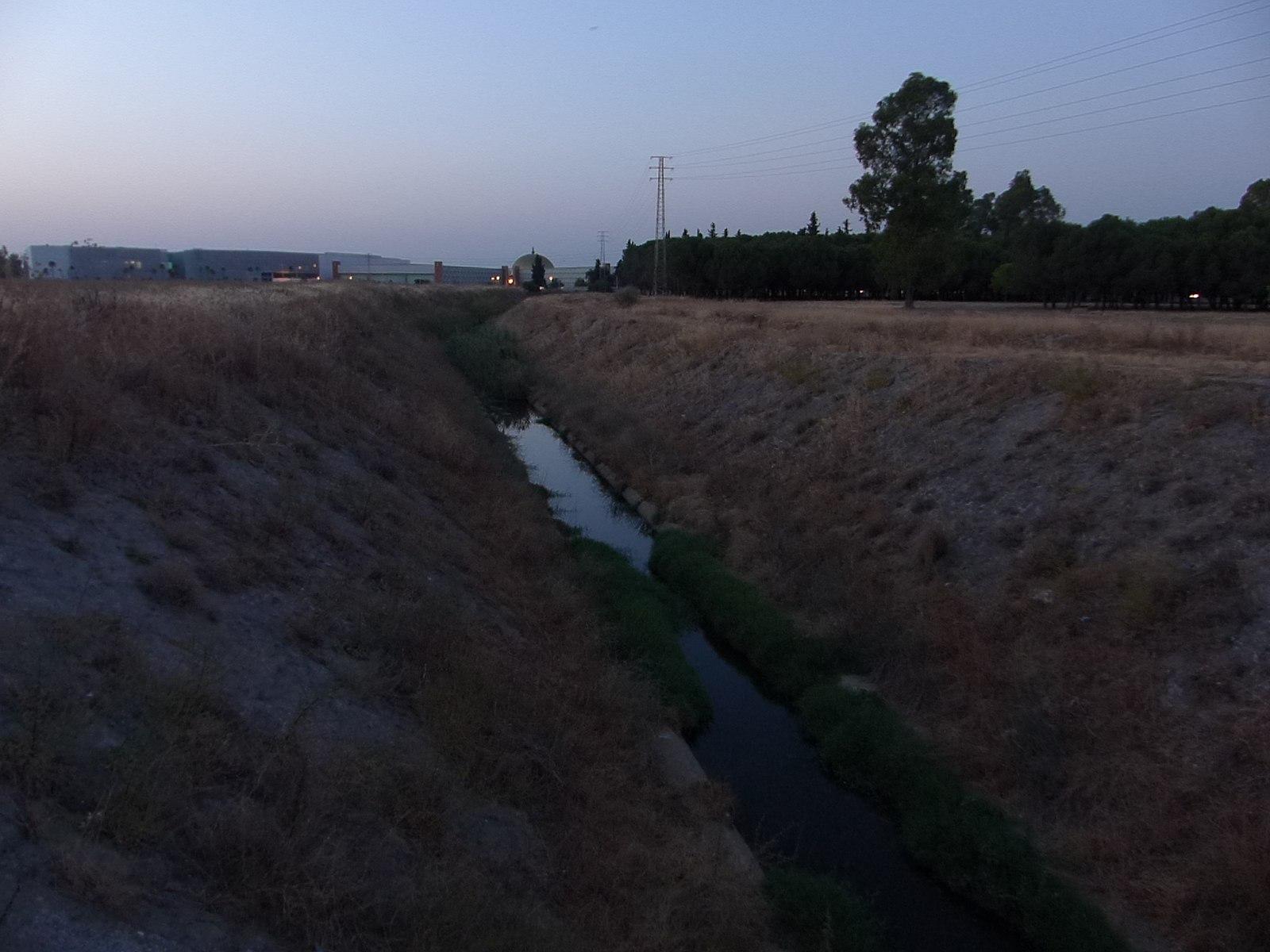 Ranillas Stream 2