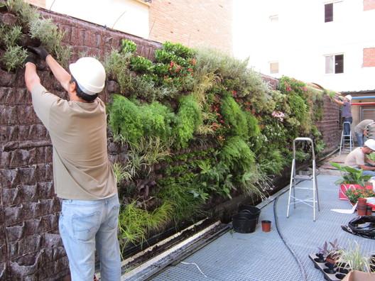 Vertical Garden Installation