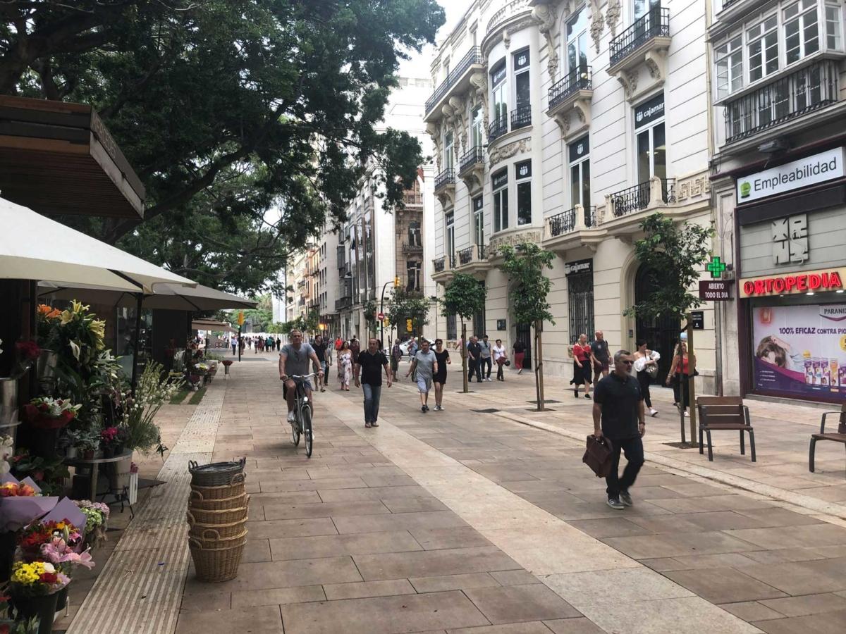 Alameda Main Road 2