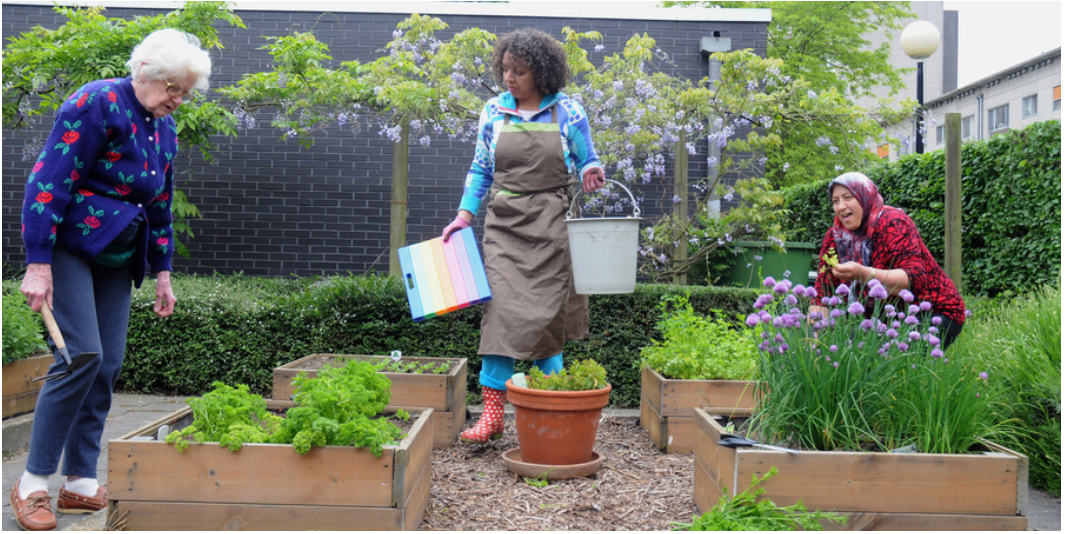 Three women gardening