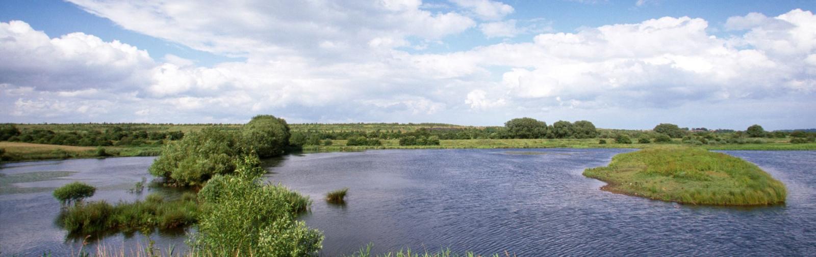NIA Dearne Valley Green Heart Eco vision Urban Nature Atlas NIA Dearne Valley Green Heart Eco vision Urban Nature Atlas