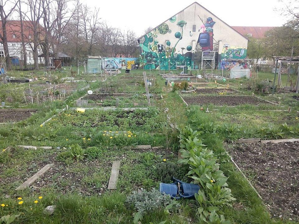 Vegetable beds in a community garden