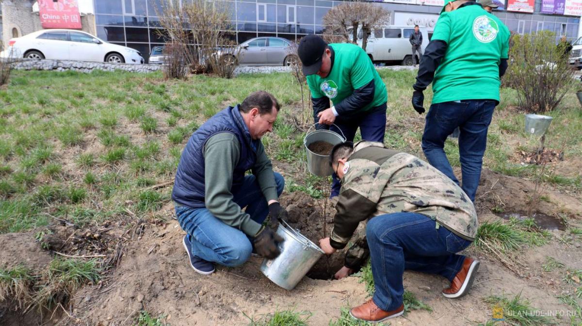 Planting almond alley on the territory of the House of Life on the Erbanova street (2021)