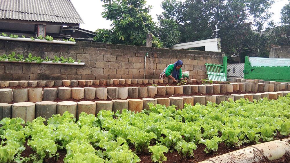 Head of KWT Seruni Indah Farmers Group