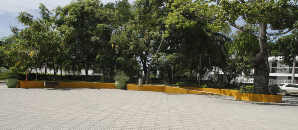 picture of the park