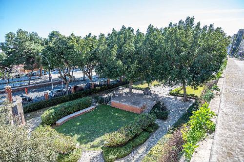 Photo of the park: green spaces and walking path.