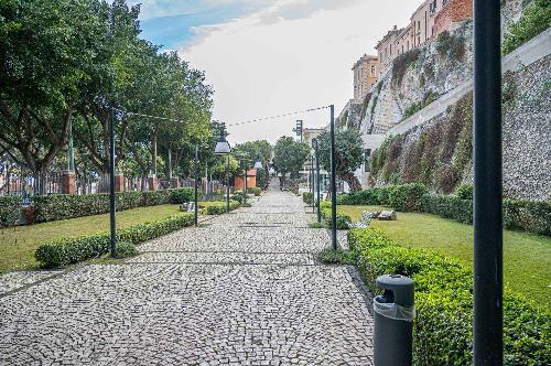 Photo of the park: green spaces and walking path.