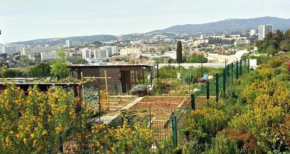 Picture of the community garden Parc de la Moline in Marseille, part of the city-wide initiative to develop comminity gardens