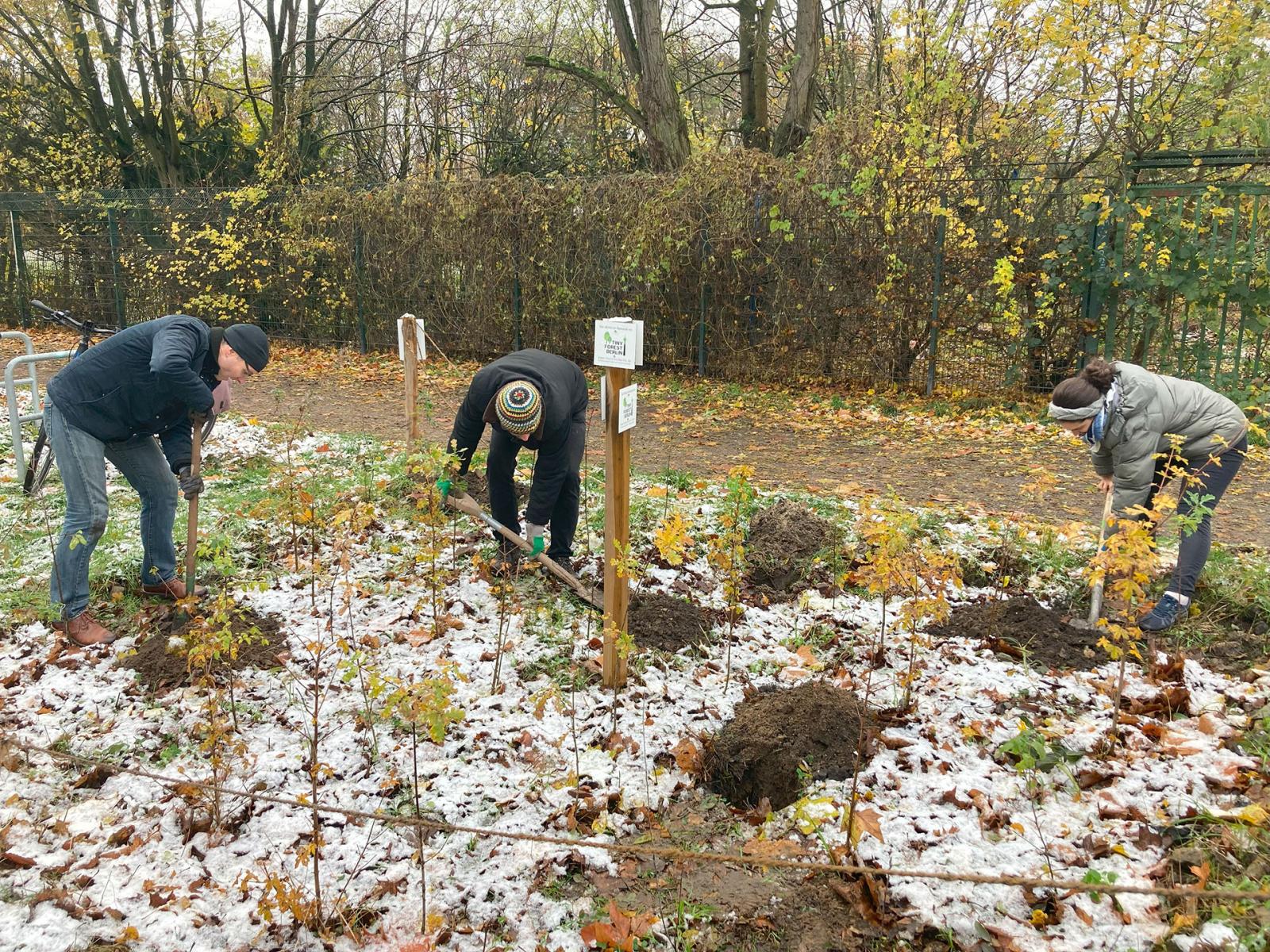 Members of TinyForestBerlin plant trees