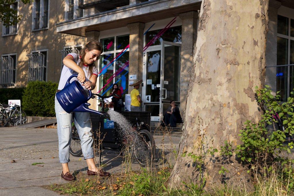 A person watering a tree in summer