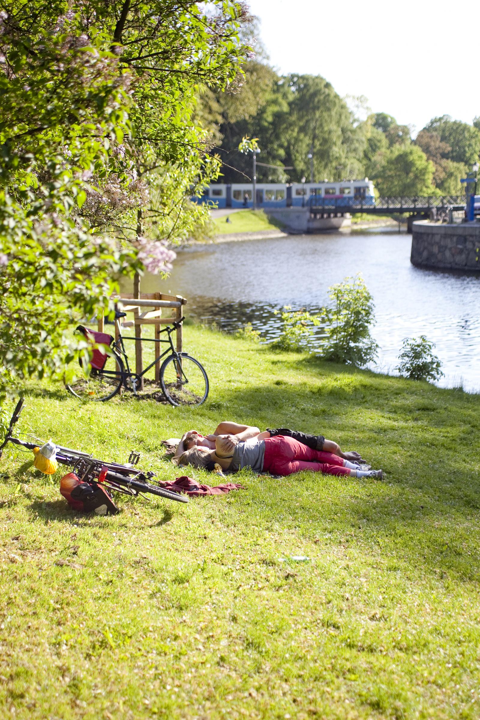 Green and Grand City (2014)