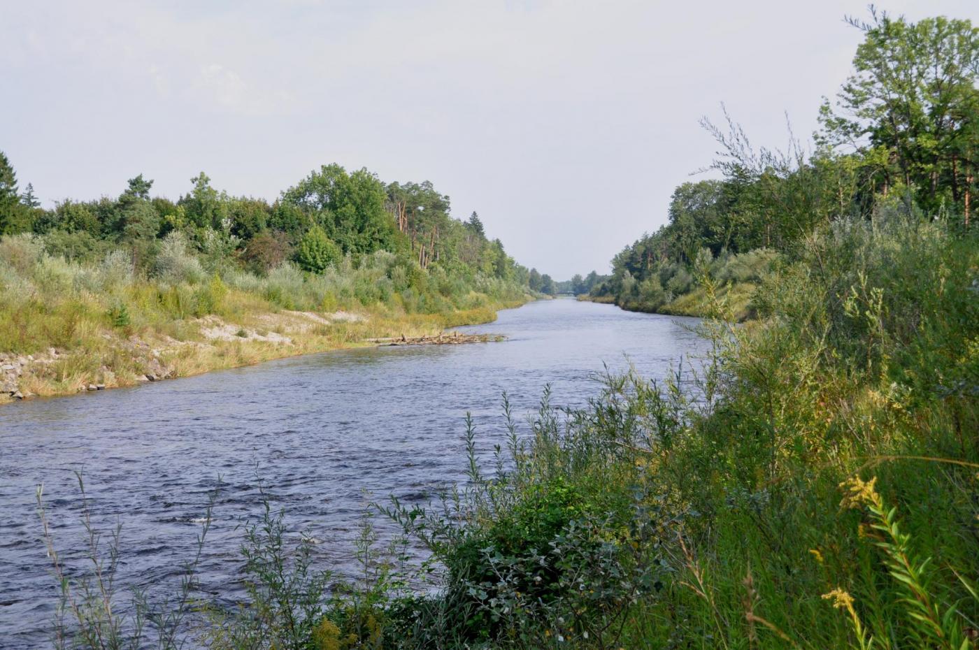 Phase 1 of the Project (2012)