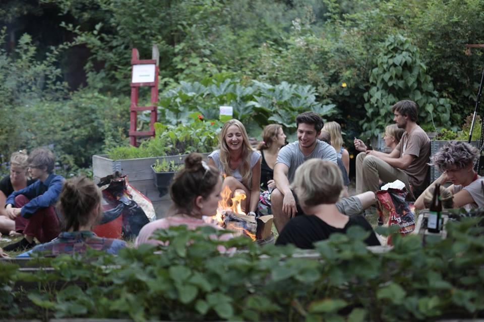 Community Garden on Campus