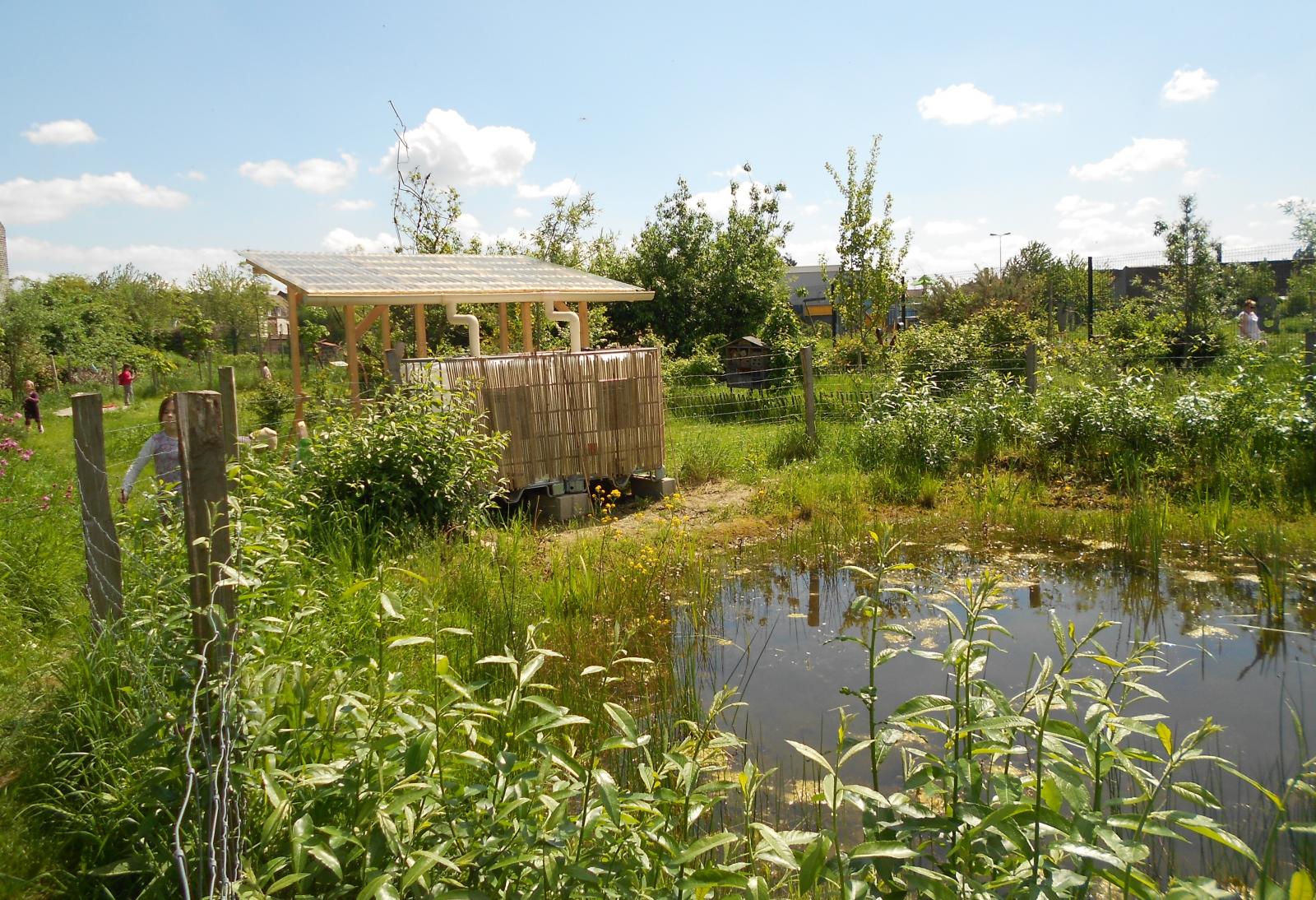 Bizardin Pool and Rain Water Recuperation (2012)