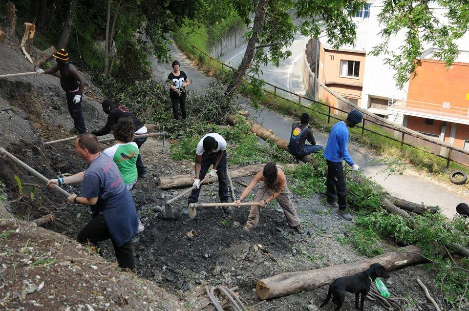 Collective Work at OrtoCollettivo