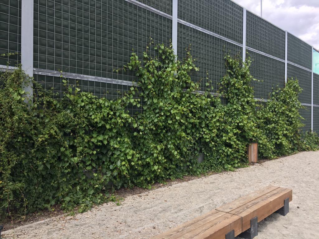Green Acoustic Screens by Grota-Roweckiego Street