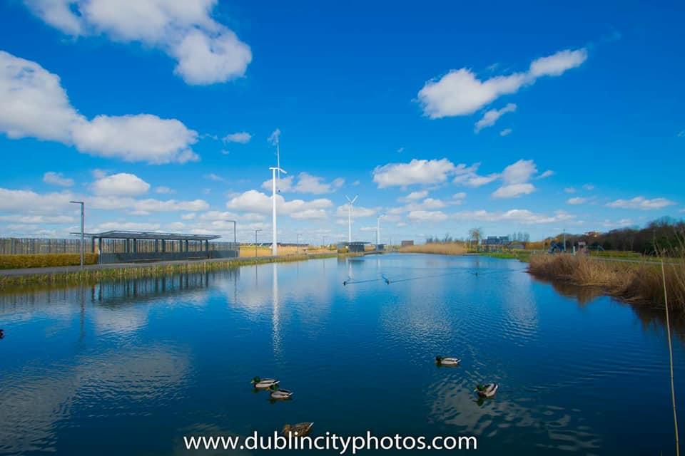 Father Collins Park