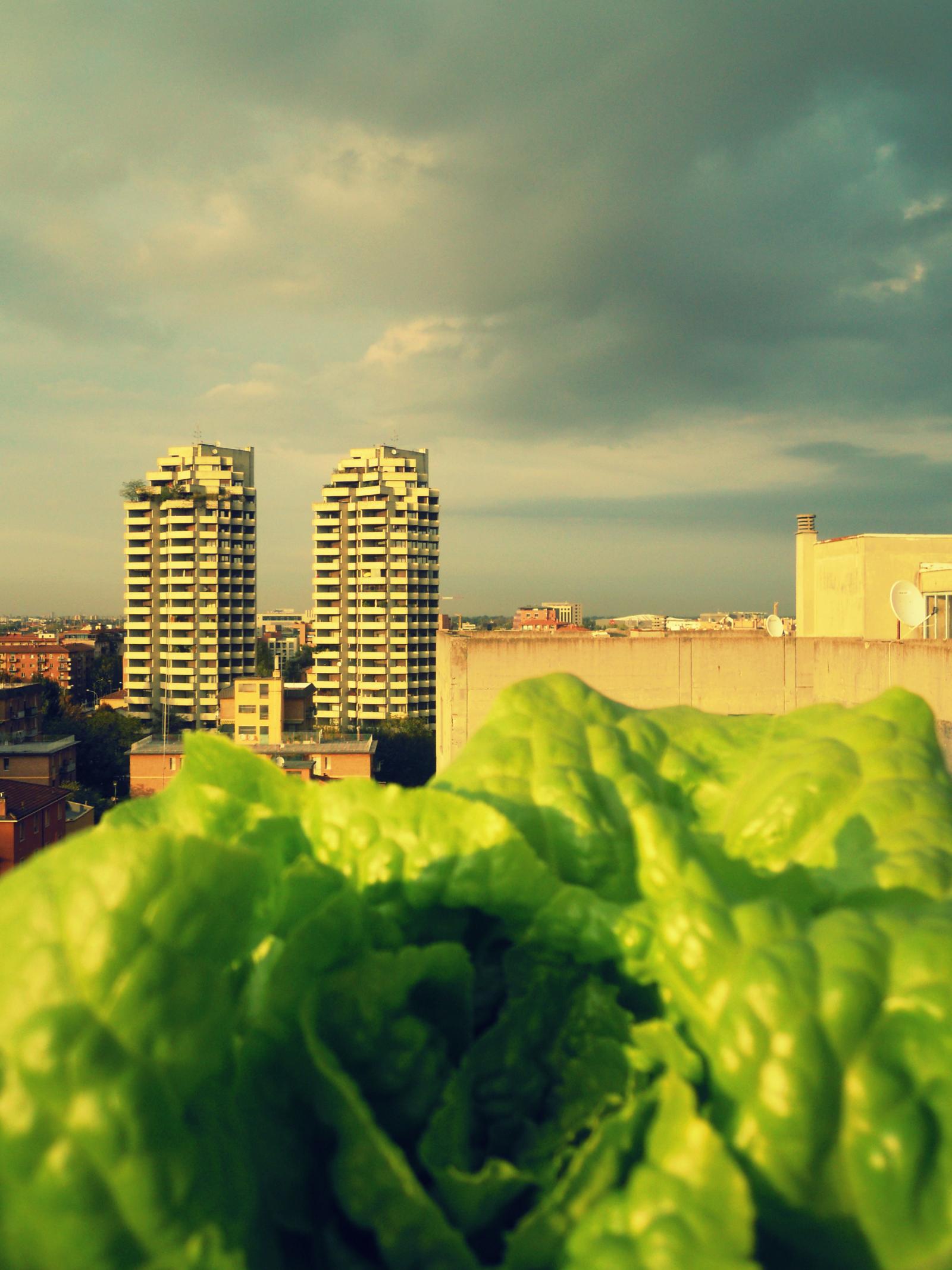 Community Garden of Via Gandusio (2012)