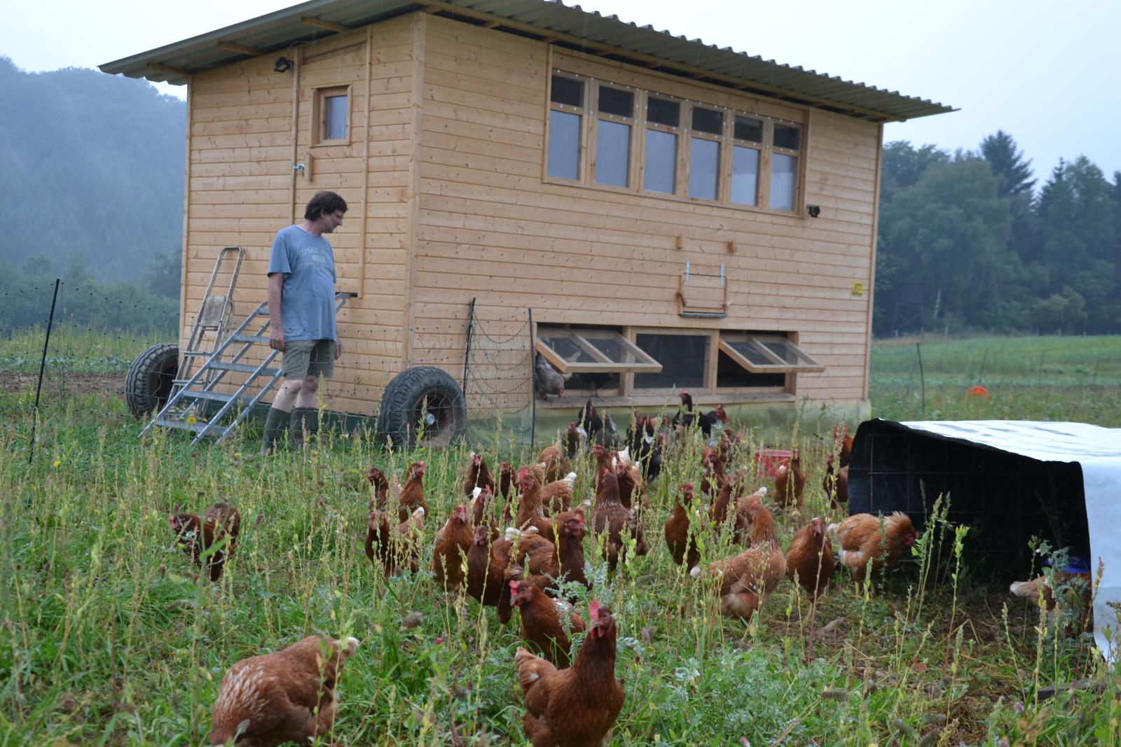 The Chicken House at the Community Supported Agricultural Area (2016)