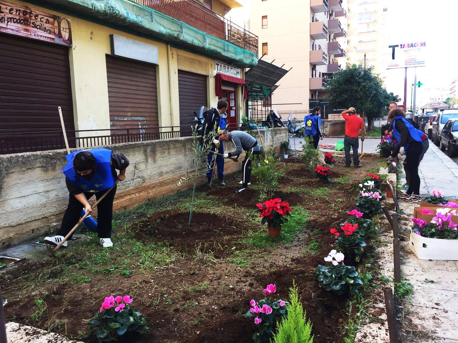 Care of the Public Greenery via Azolino Hazon A Brancaccio