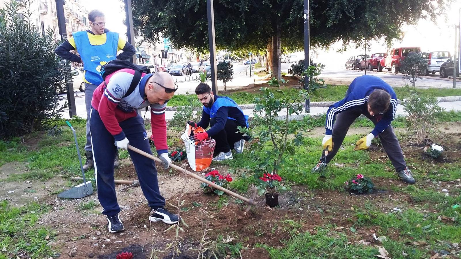 Care of the Public Greenery via Basile