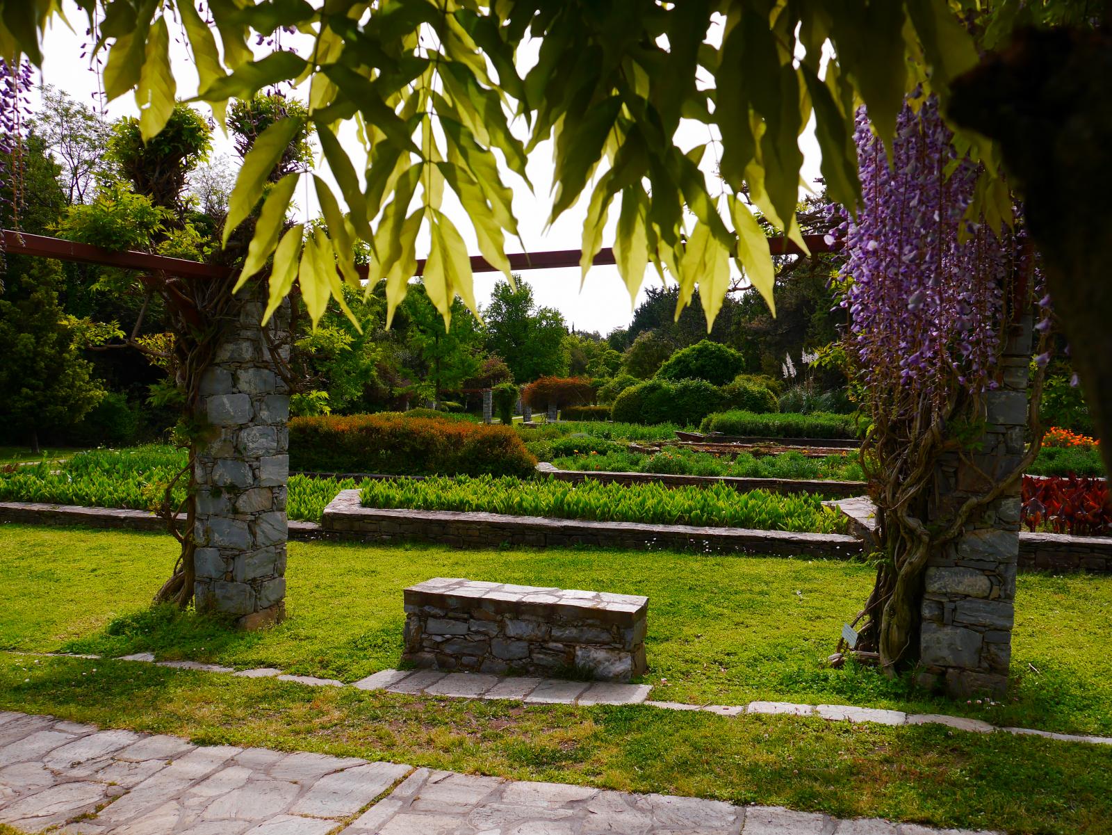 Diomidous Botanical Garden (2015)