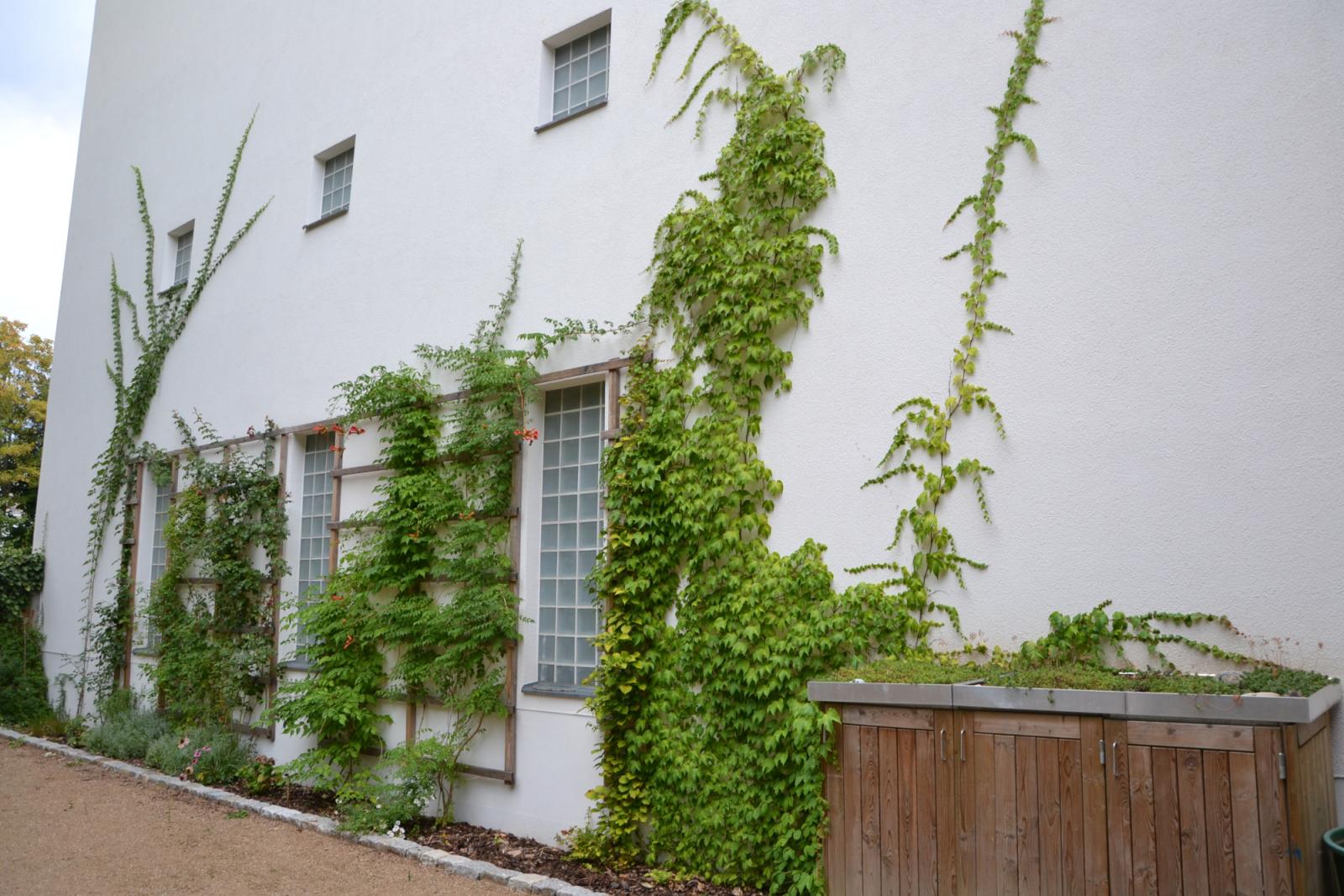 A Green Facade of a Family House in Leipzig Südvorstadt