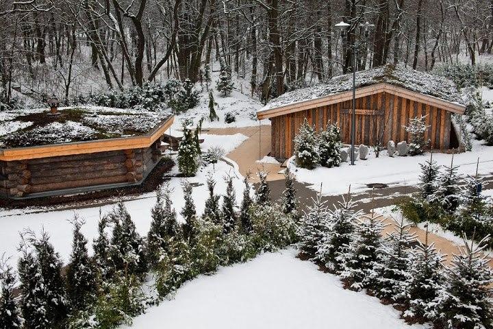 Green roofs in the Water Park 'Termy Maltanskie'