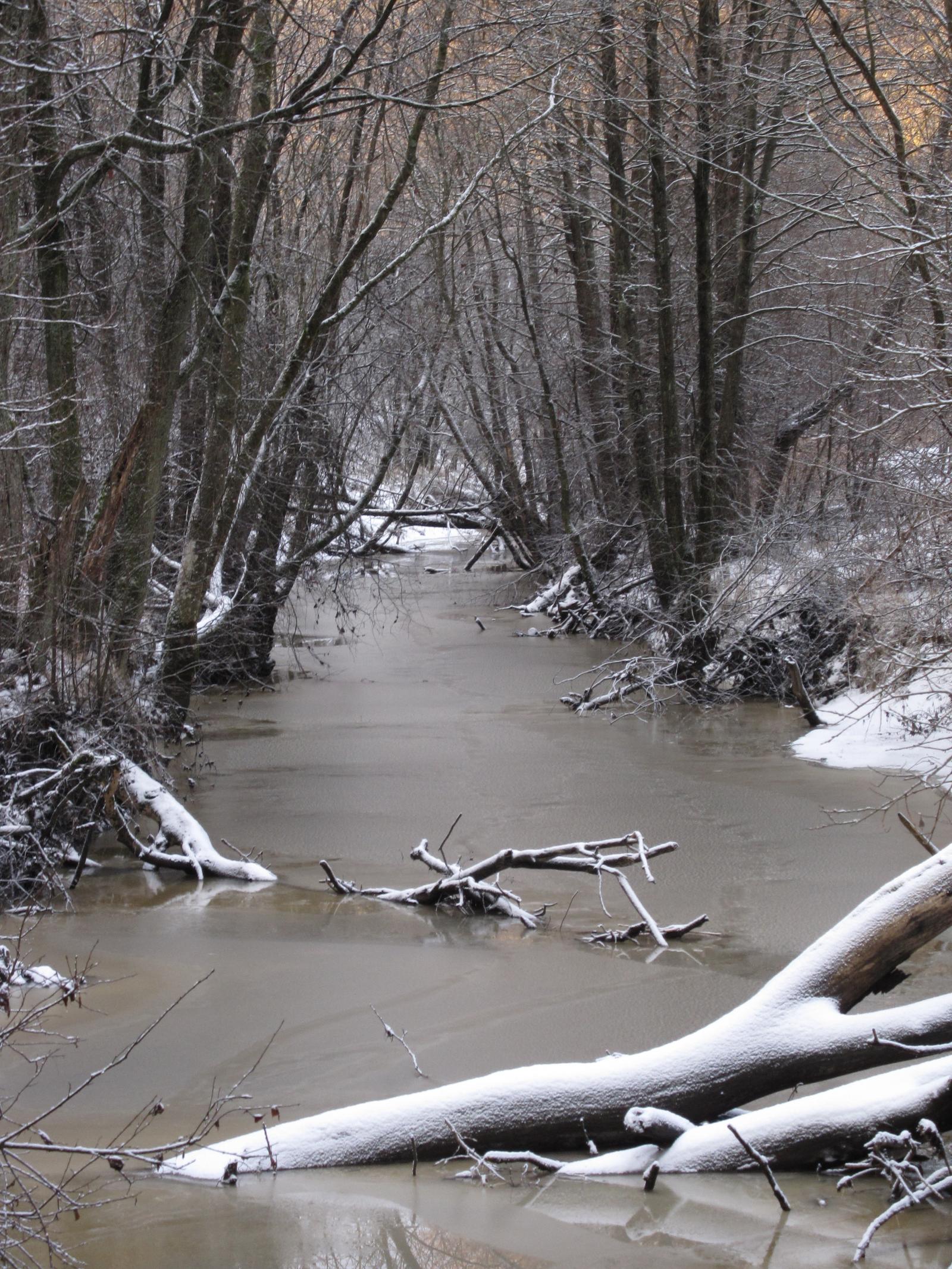 Nature Reserve Lärjeåns dalgång 