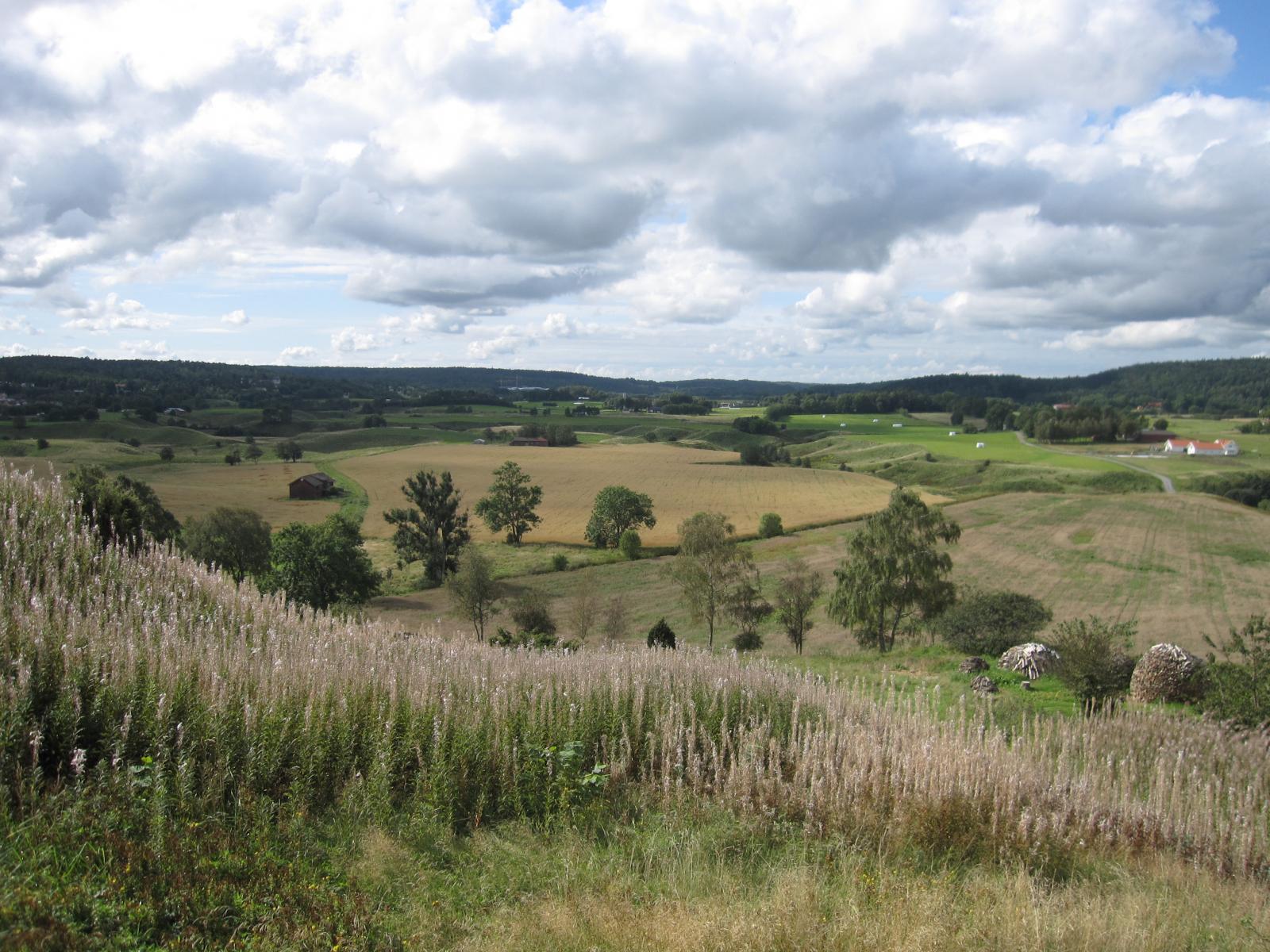 Nature Reserve Lärjeåns dalgång 