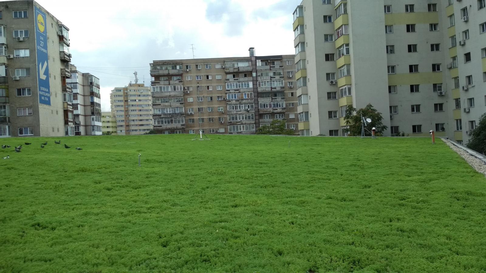 Lidl City Shopping Center Green Roof (2018)