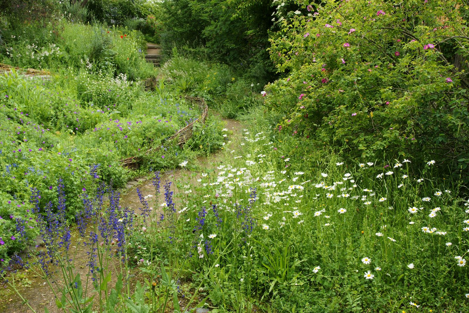 Nature Show Garden in Wachtberg (2014)
