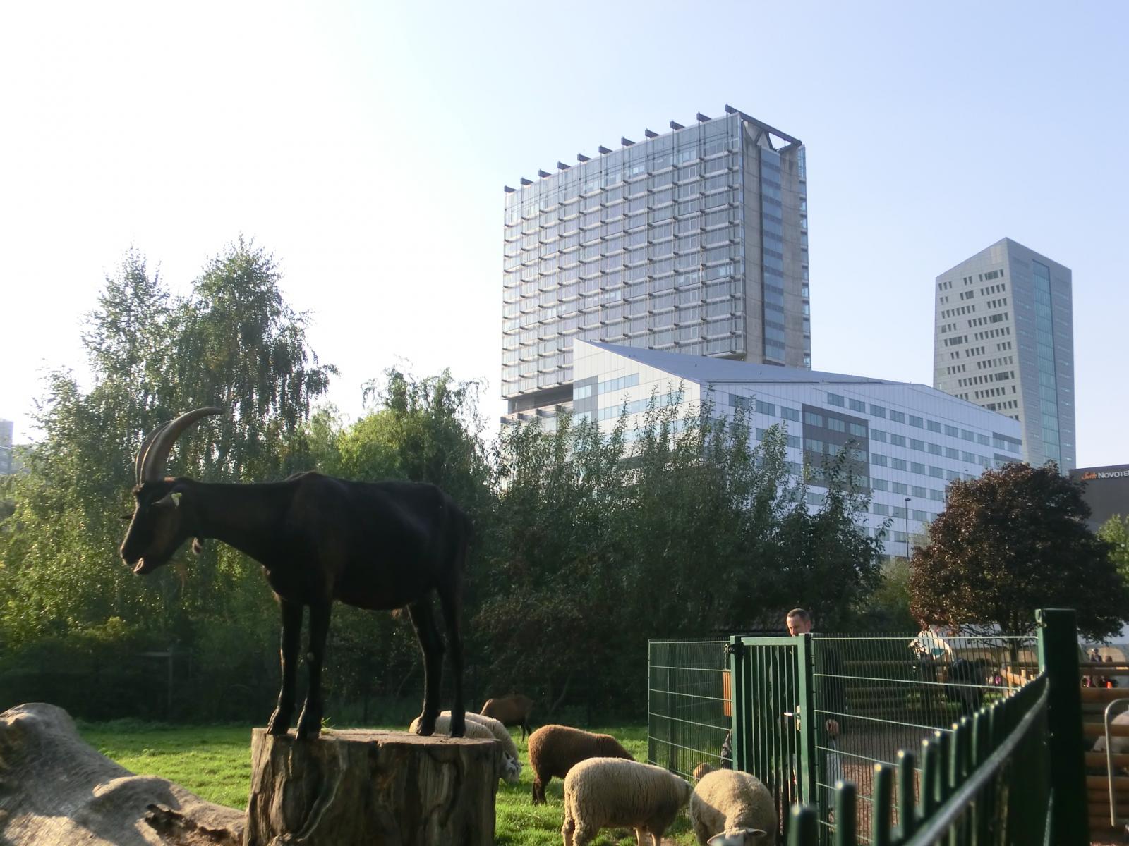 Dondaines Park