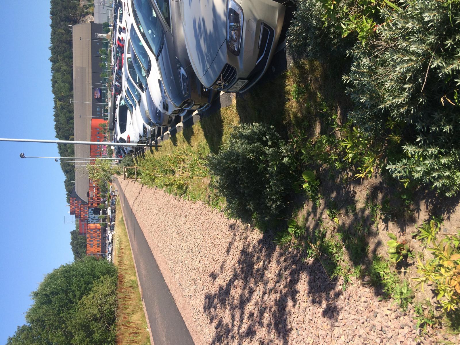Rain gardens in Kviberg 