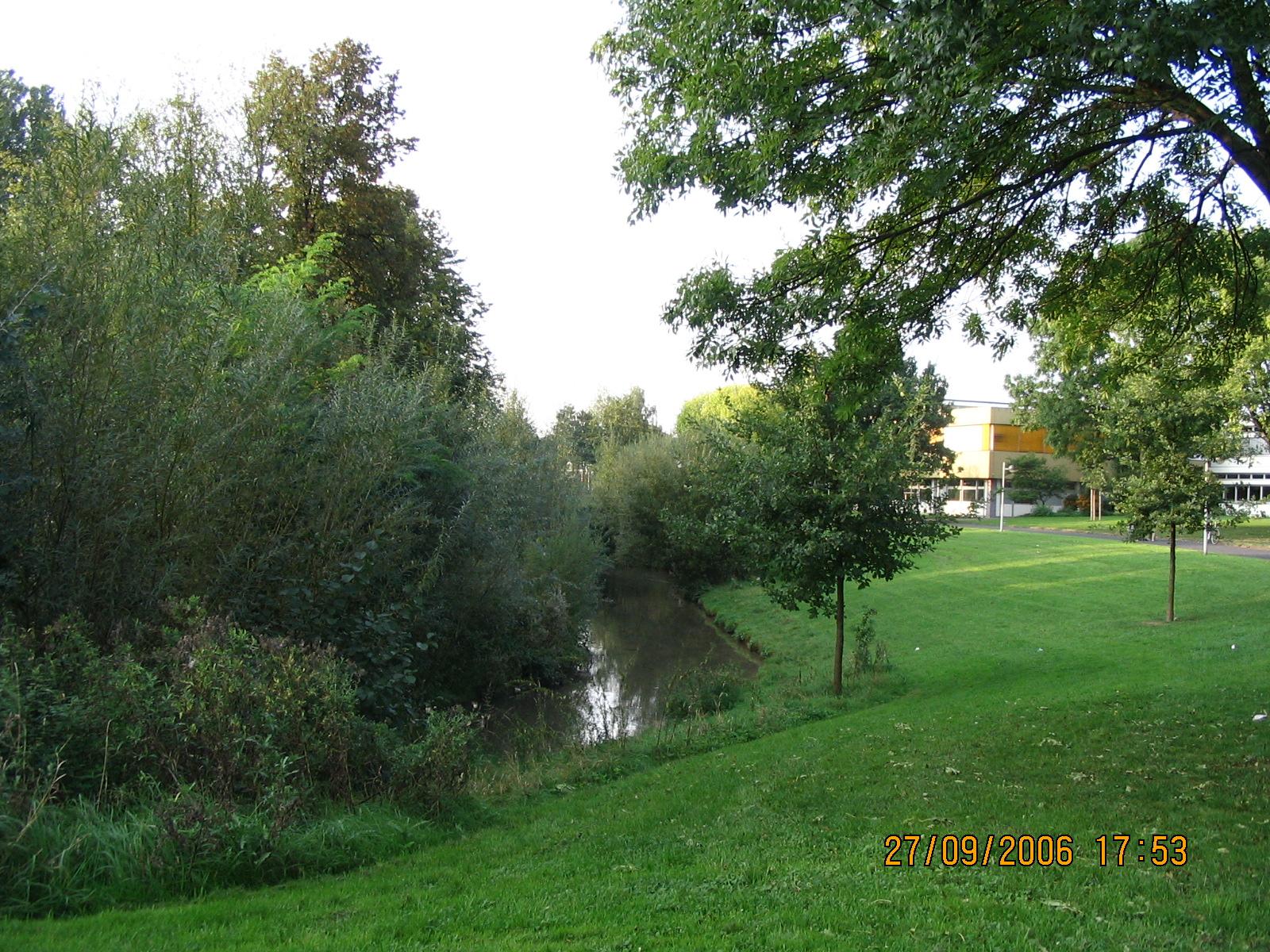 Renaturalization of the Rheindorfer Stream (From Matthias Franke 2006)