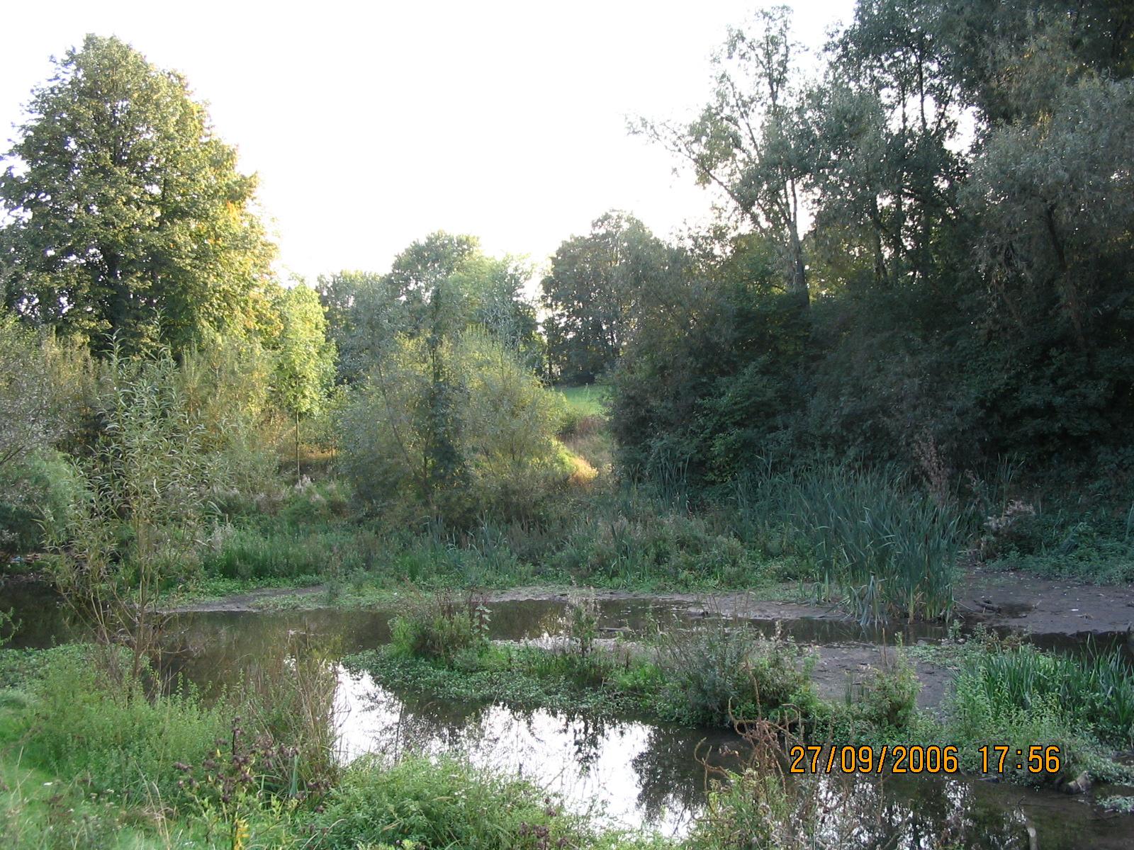 Renaturalization of the Rheindorfer Stream 