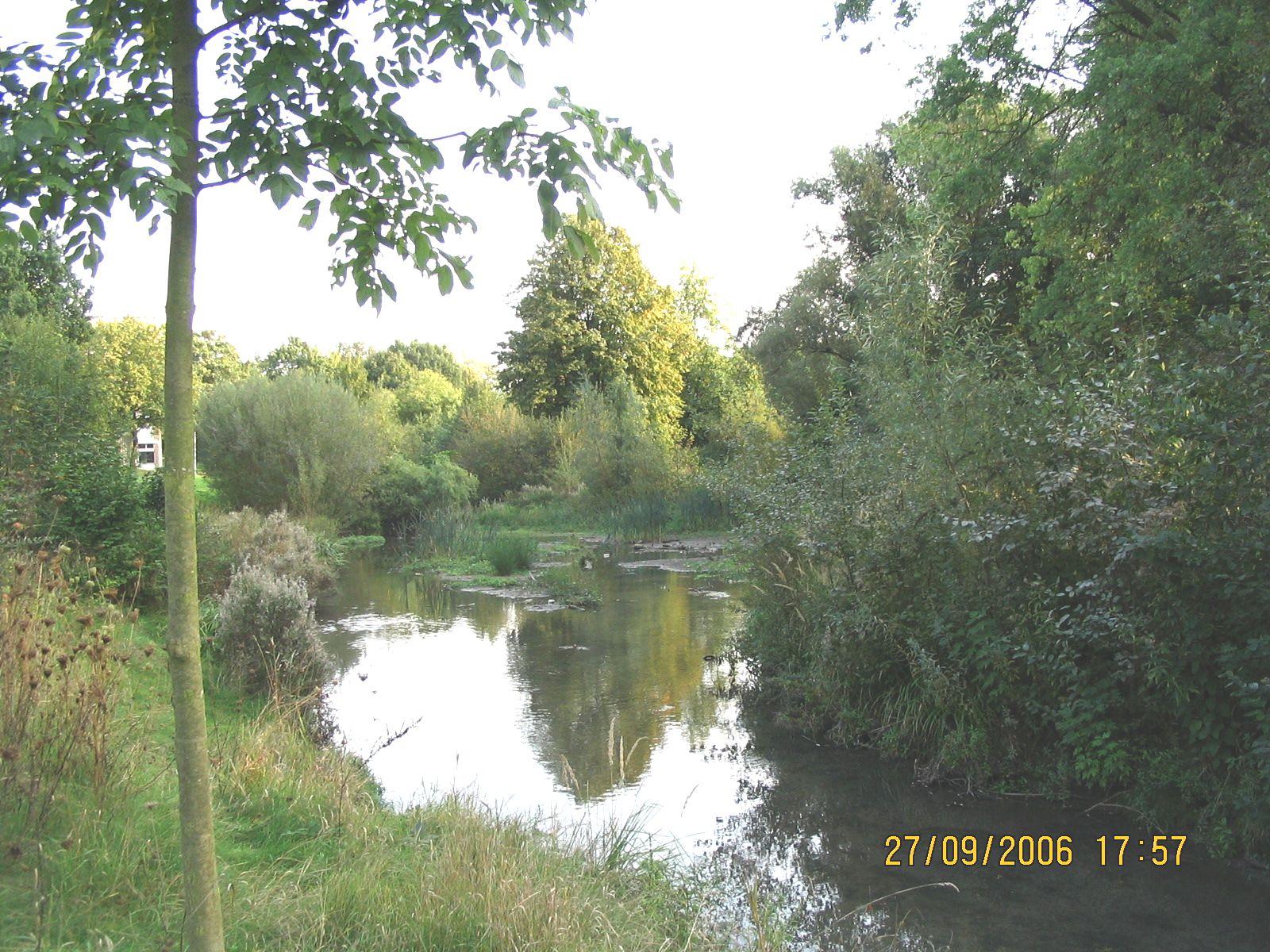 Renaturalization of the Rheindorfer Stream 