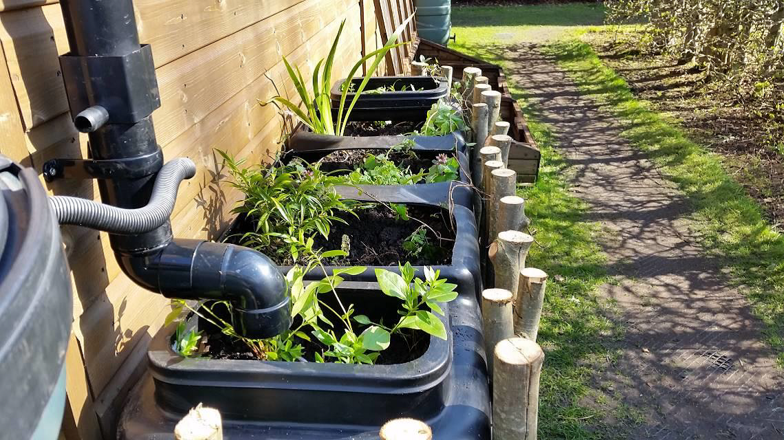 Raingarden Planters at the Royal Botanic Garden Edinburgh