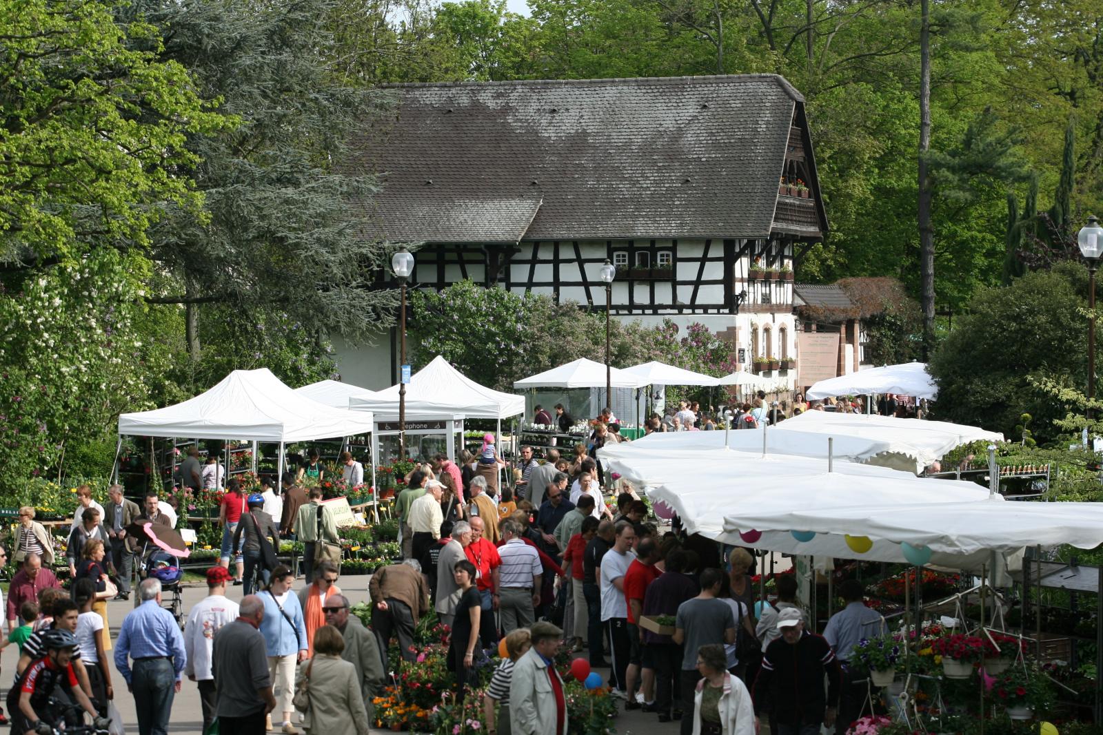 Sainte Marie Park and Festival of Nature (2008)