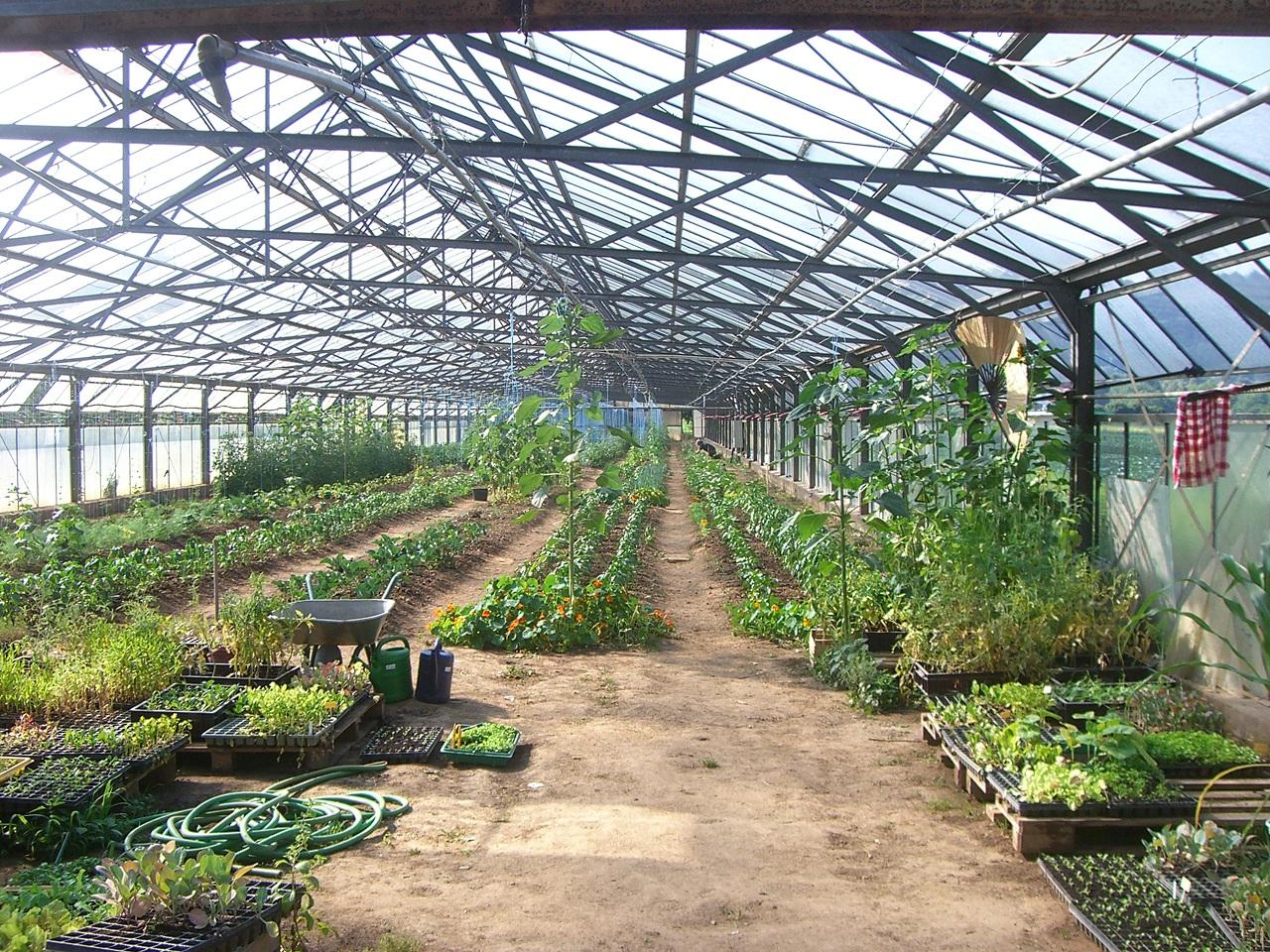 Social garden in Wolfartsweier (2010)