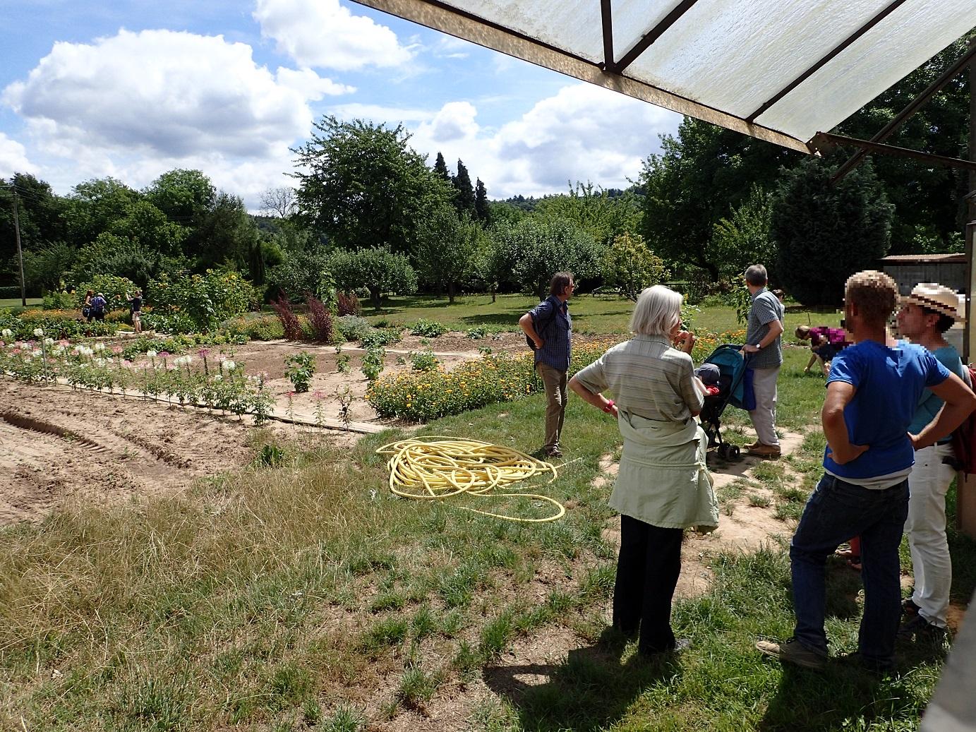 Social garden in Wolfartsweier (2017)