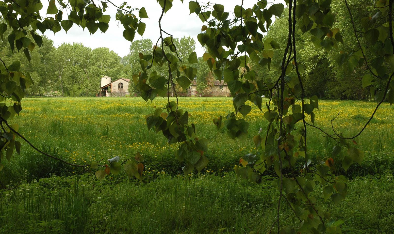 Ticinello Agrarian Park (Giuseppe Mazza 2015)