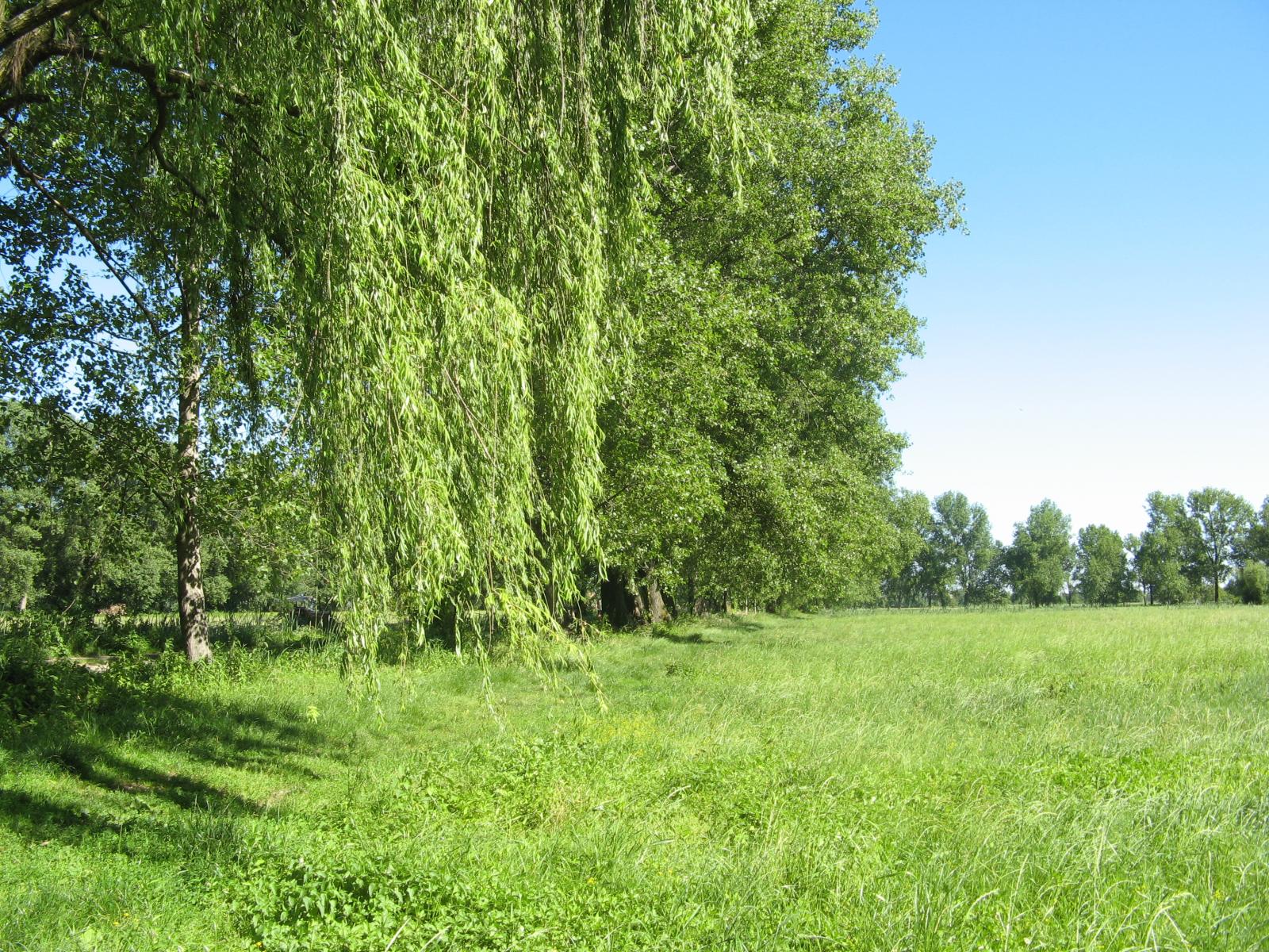 Ticinello Agrarian Park (Giuseppe Mazza 2010)