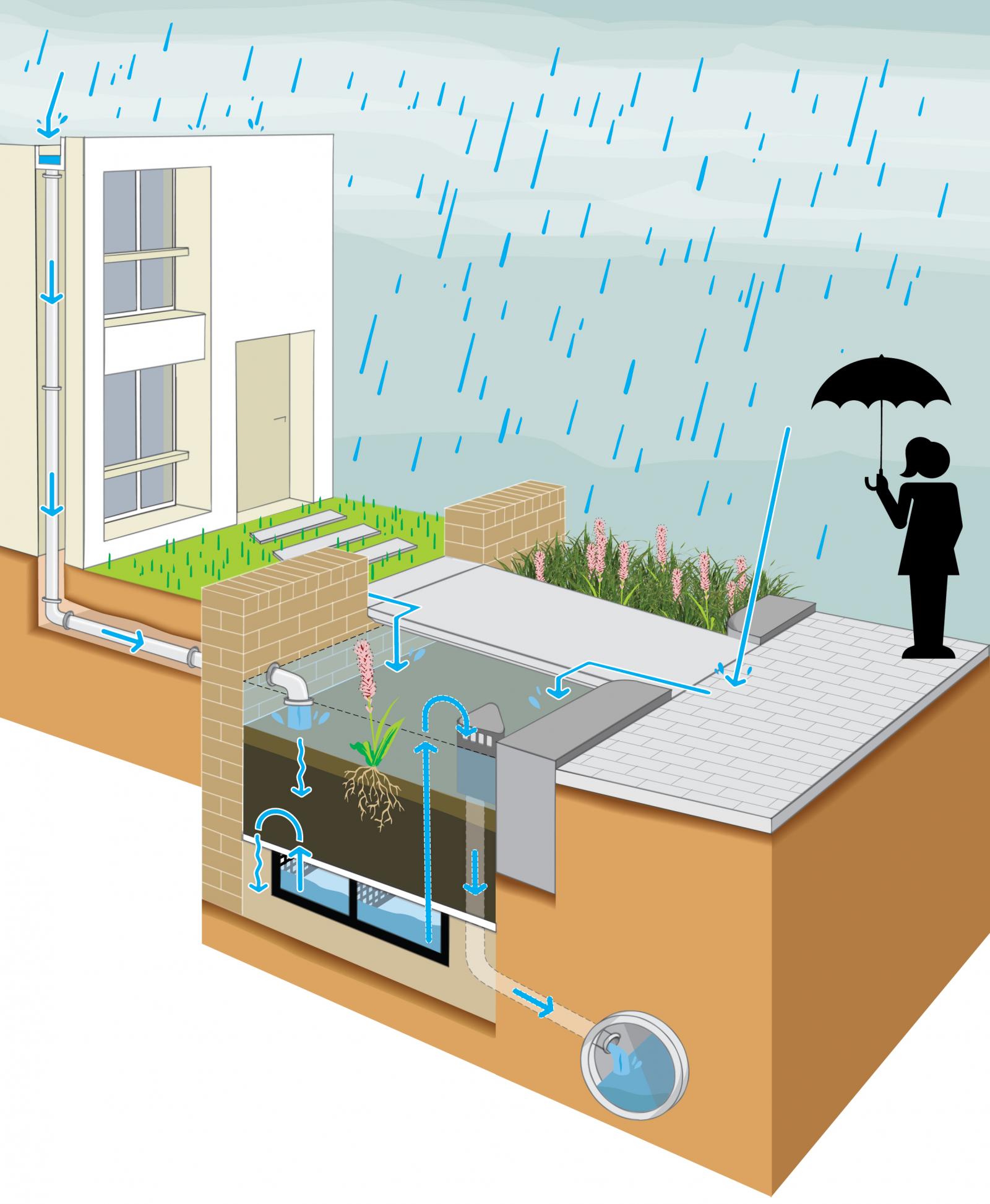 Water Decelerating Green Strip Infographic (2016)